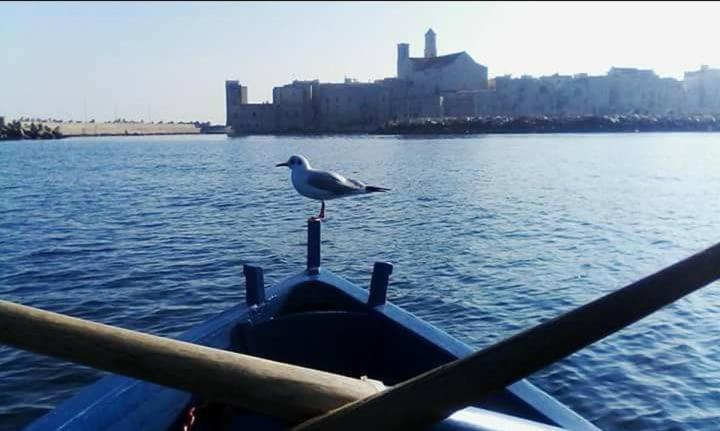 Il Da Vinci Casa Vacanze Giovinazzo Zewnętrze zdjęcie